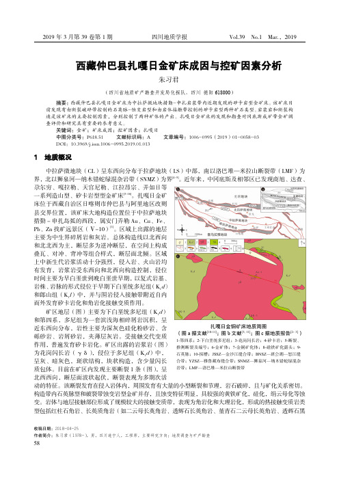 西藏仲巴县扎嘎日金矿床成因与控矿因素分析