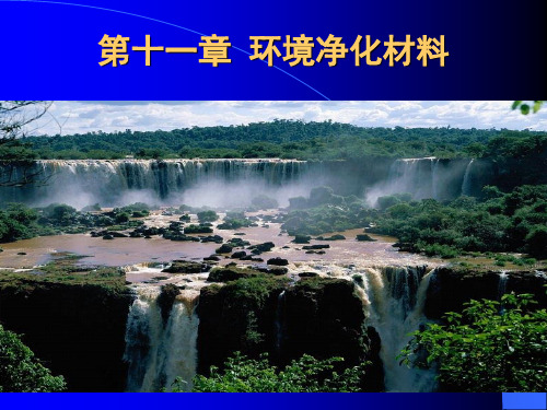 第11章 环境净化材料PPT课件