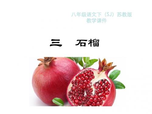 石榴PPT教学课件及作业课件完整版