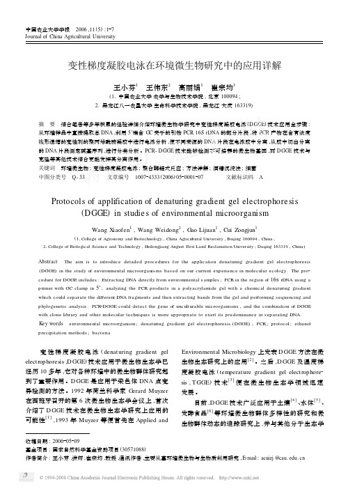 变性梯度凝胶电泳在环境微生物研究中的应用详解