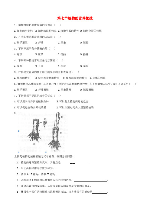 八年级生物上册 第4单元 第1章 第7节《植物的营养繁殖》同步练习 济南版