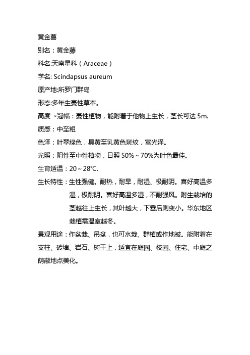 天南星科.黄金葛t