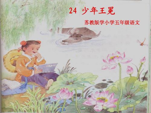 24 少年王冕ppt