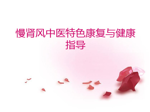 慢肾风中医特色康复和健康指导ppt课件