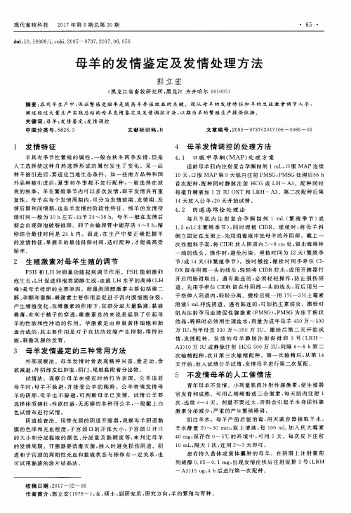 母羊的发情鉴定及发情处理方法