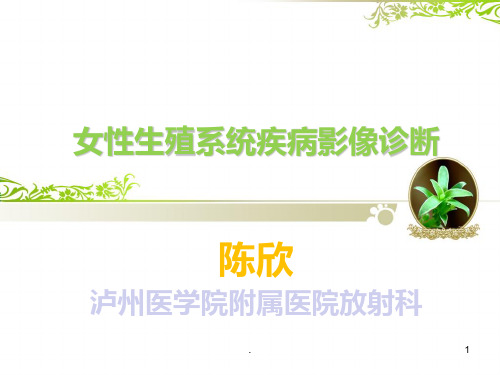 女性生殖系统影像诊断