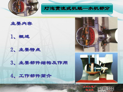 灯泡贯流式机组—水机部分分析