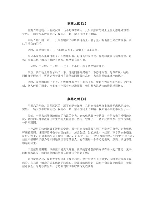 家燕之死作文
