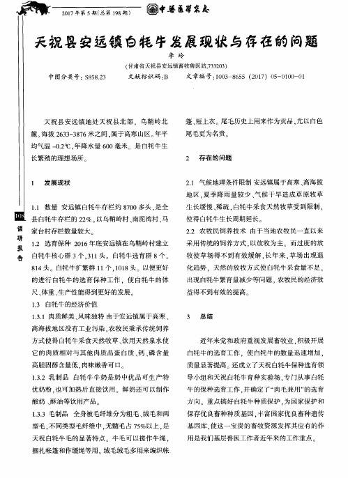 天祝县安远镇白牦牛发展现状与存在的问题