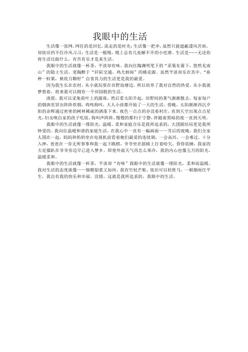 生活化作文优秀征文