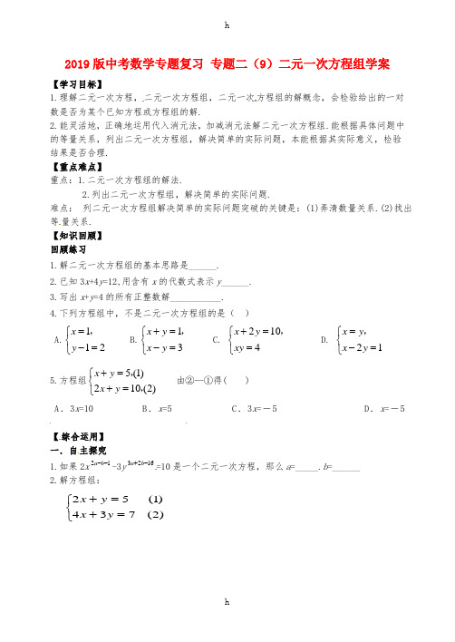 2019版中考数学专题复习 专题二(9)二元一次方程组学案