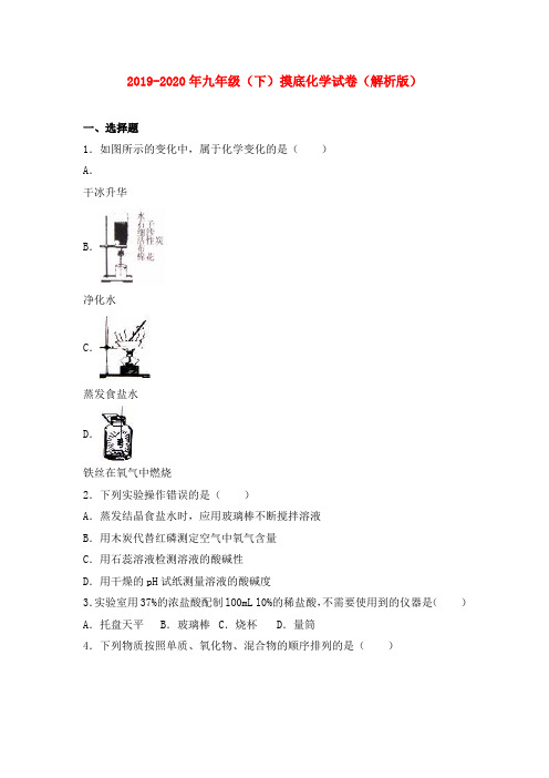 2019-2020年九年级(下)摸底化学试卷(解析版)