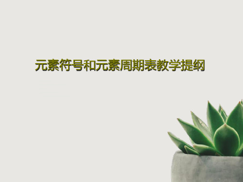 元素符号和元素周期表教学提纲17页PPT