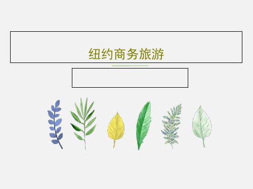 纽约商务旅游30页PPT