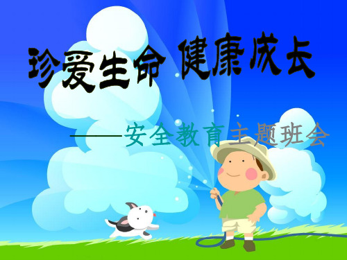 防踩踏主题班会精ppt课件