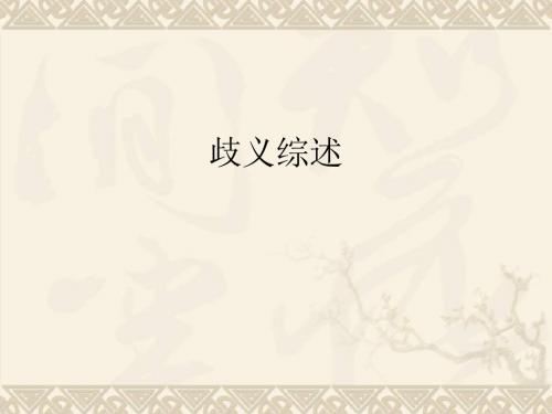 歧义综述 PPT课件