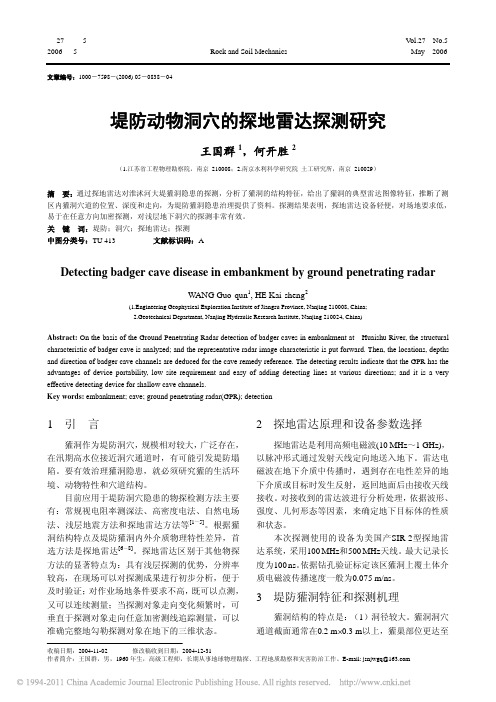 堤防动物洞穴的探地雷达探测研究