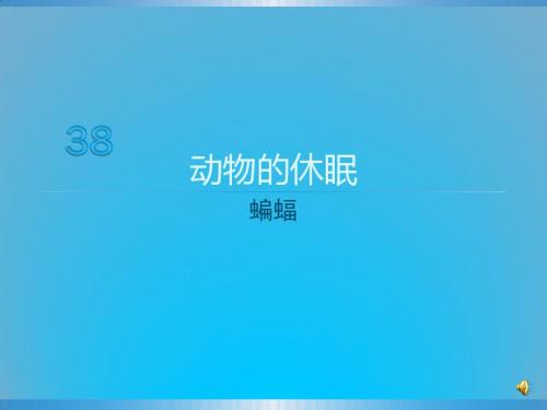 动物的休眠