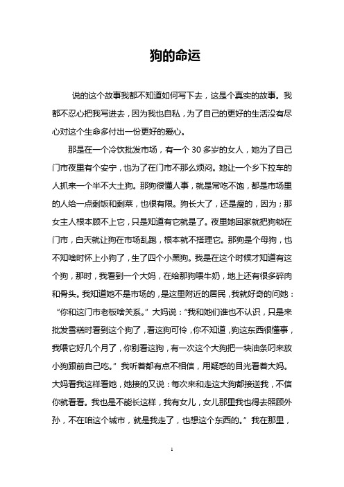 狗的命运