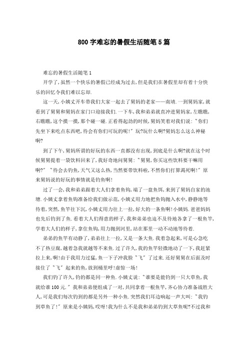 800字难忘的暑假生活随笔5篇