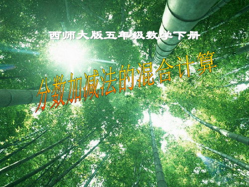 《分数加减法的混合计算》分数加减法PPT课件
