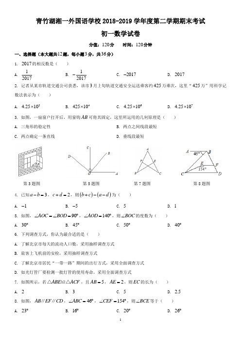 七年级2018—2019—2青竹湖初一期末数学试卷