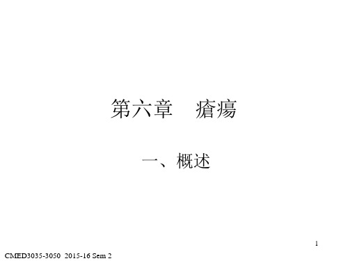 3-疮疡总疖面疔手足疔(zai)_20160119剖析.