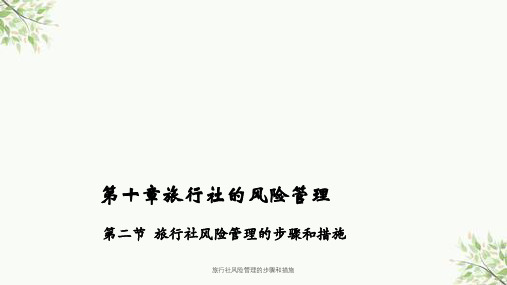 旅行社风险管理的步骤和措施课件