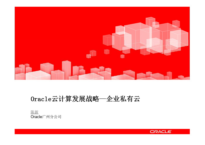 Oracle云计算发展战略
