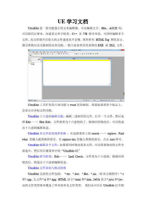 UE学习文档