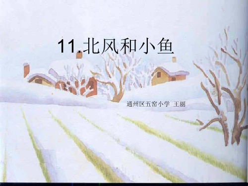 北风和小鱼-王丽PPT课件
