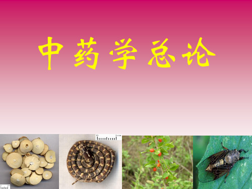 中药的起源和发展史