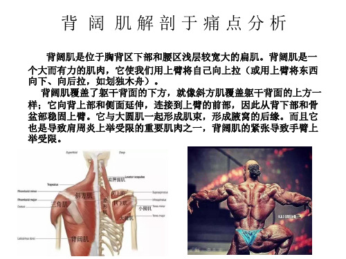 背阔肌解剖与痛点分析