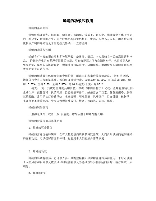 蝉蛹的功效和作用