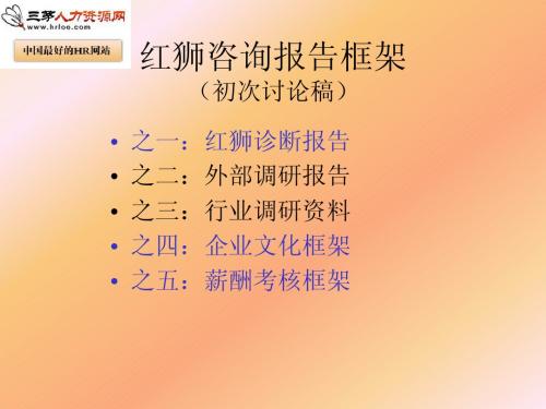 咨询报告之一诊断报告