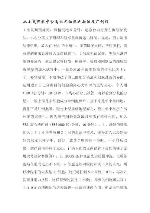 小鼠脾脏中分离淋巴细胞