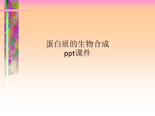 蛋白质的生物合成ppt课件