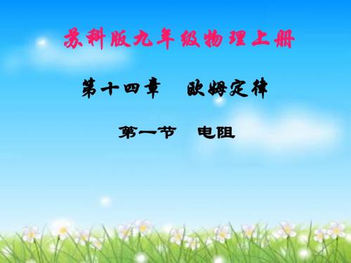 欧姆定律 电阻