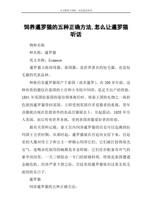 饲养暹罗猫的五种正确方法,怎么让暹罗猫听话