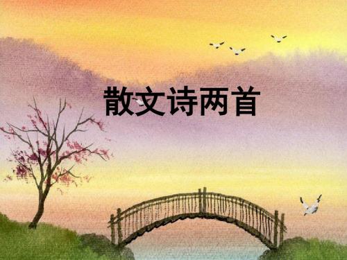 24散文诗金色花、荷叶母亲