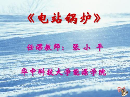 电站锅炉