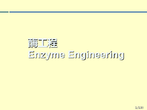 酶工程-酶分子修饰-Enzyme Engineering