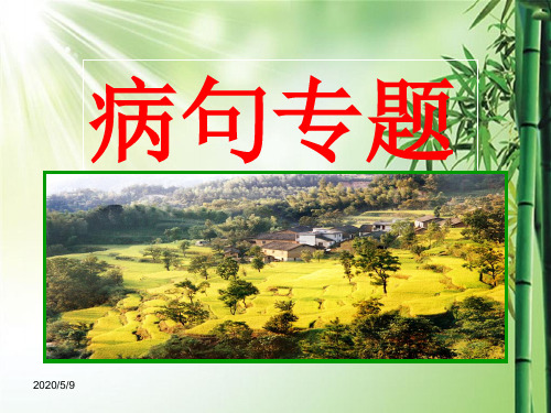 高考病句复习专题ppt课件.ppt