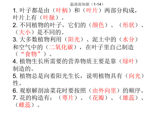 新版三年级下科学-植物和我们 苏教版