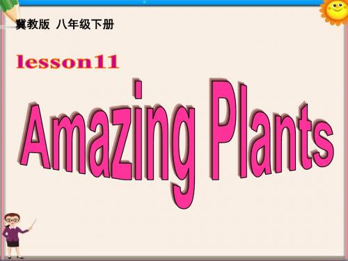 八年级英语下册Unit2Lesson11AmazingPlants课件(新版)冀教版