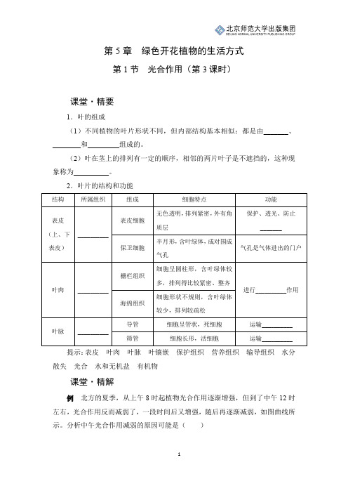 北师版生物七年级上册第5章第1节《光合作用》课堂精练(第3课时)