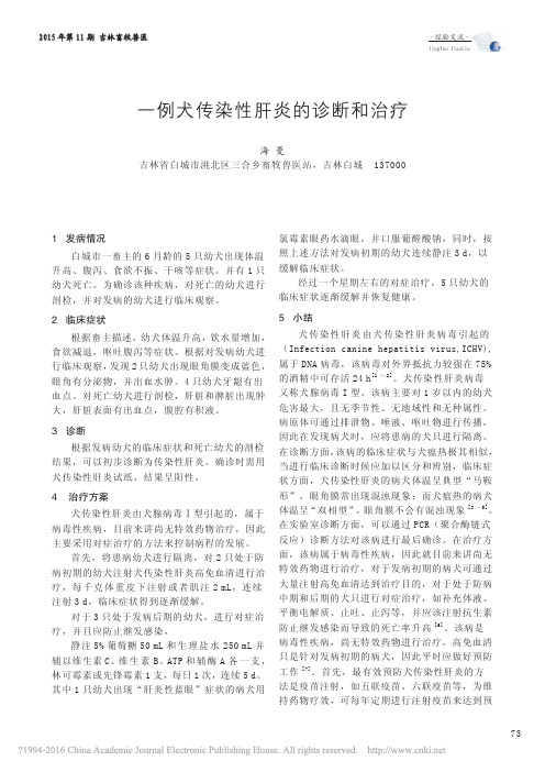 一例犬传染性肝炎的诊断和治疗_海曼