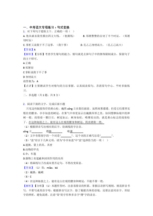 新人教版中考 语文句式变换含解析