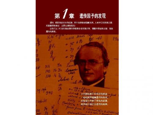 1.1 孟德尔的豌豆杂交实验(一)(共71张PPT)