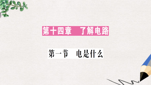 九年级物理全册 第十四章 第一节 电是什么习题课件 (新版)沪科版